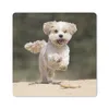 MuchoWow® Mauspad Mousepad Ein Shih Tzu Hund hüpft durch Produktbild-Vorschau 1