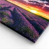 Bild auf Leinwand - Leinwandbild - Lavendel Berge Feld - Produktbild-Vorschau 5