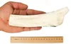 RF-D Deer Antler SET 5x XXL 755-1000g 19-21cm soft natural Voir les images du produit 2