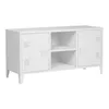 TV skrinka 'Kotka' s 2 dvierkami kov 113 x 40 x 58 cm Biela Náhľad obrázku produktu 5