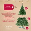 Creative Home Albero di Natale Artificiale 220 cm | Albero Anteprima dell’immagine prodotto 5