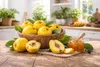 Cocktail Basis Quitte 6 kg Sirup Konzentrat alkoholfrei Produktbild-Vorschau 4