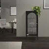A black display cabinet with a plant on top, placed in a room with a dining area in the background. Náhľad obrázku produktu