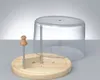 Zeller Present 25587, Nerezová oceľ, Nerezová oceľ, 150 mm, Náhľad obrázku produktu 3
