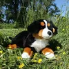 Großer Plüschhund, Berner Sennenhund, 61 cm, Produktbild-Vorschau 6