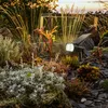 OCULUS Solaria LED Solarleuchte Gartenspot mit Erdspieß Produktbild-Vorschau 6
