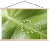 MuchoWow® Textilposter Foto eines botanischen Blattes mit Produktbild-Vorschau 1