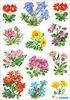 36 HERMA Aufkleber 3582 Blumen Produktbild-Vorschau 2