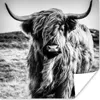 MuchoWow® Poster Schottischer Highlander - Natur - Kuh - Produktbild-Vorschau 1