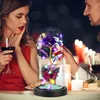 Rosa eterna en cúpula de vidrio con iluminación LED. Vista previa de la imagen del producto 3