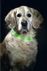 Karlie Collar Sil Visio Light Grn 70X1 Anteprima dell’immagine prodotto 4