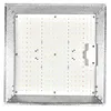 LED plantlamp, volledig spectrum, 100W LED kweeklamp met Productafbeelding-voorbeeld 12