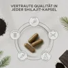 Aavalabs Shilajit Kapseln | 50% Fulvinsäure | Himalaya Produktbild-Vorschau 6