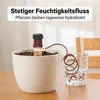 6 Stück Automatische Pflanzenbewässerung, Produktbild-Vorschau 2