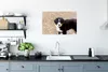 MuchoWow® Poster Berner Sennenhund Welpe am Morgen 60x40 cm Produktbild-Vorschau 3