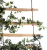 Wandspalier Holz Jute als Kletter- Rankhilfe für Ihre Produktbild-Vorschau 4