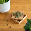Solitär Gr. L mit grünen Steckern – Solitaire – Denkspiel Produktbild-Vorschau 6