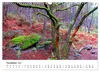 Jakobsweg - Camino Portugues Central (Wandkalender 2027 DIN Produktbild-Vorschau 14