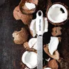 A Microplane grater is placed on a dark, textured surface surrounded by broken coconut pieces. Anteprima dell’immagine prodotto