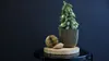 A small, decorated Christmas tree sits on a wooden slice on a black table, next to decorative balls and a pinecone. Produktbild-Vorschau