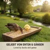 AgrarzoneNourriture pour canards & oies grains 20 kg Voir les images du produit 3