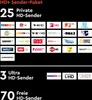 A graphic displaying various television channel logos categorized by package type (HD+ Sender-Paket, Private HD-Sender, Ultra HD-Sender, Freie HD-Sender). Anteprima dell’immagine prodotto