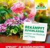 A close-up of flowering plants in a pot, with a piece of paper overlayed with text about pest control. Produktbild-Vorschau