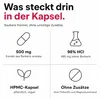 Medical Pharma Berberin HCl 60 kapsułek Produktbild-Vorschau 4