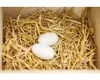 Oeuf En Bois Idéal Pour Loisirs Créatifs Et Décoration. - Voir les images du produit 4