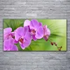 Glasbilder 120x60 Wandbild Druck auf Glas Blumen Gebäude Produktbild-Vorschau 2