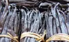 A close-up, detailed view of dried vanilla beans bundled together with raffia ties. Náhľad obrázku produktu