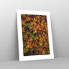 Poster - Poster ohne Rahmen - Herbst Perspektive Vogel - Produktbild-Vorschau 7