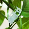100 Stück Tomatenclips, Pflanzenclips, Wachstumsclips für Produktbild-Vorschau 4