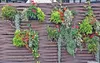 9 x Hängetopf Blumentopf Hängetöpfe Garten Balkon Blumen Produktbild-Vorschau 2