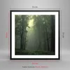 Gerahmtes Poster - Schwarzer Rahmen - Wald Nebel Baum - Produktbild-Vorschau 5