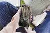 MuchoWow® Handyhülle Schutzhülle Hülle für iPhone SE 2020 Produktbild-Vorschau 3