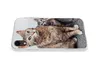 MuchoWow® Handyhülle Schutzhülle Hülle für iPhone XR Katze Produktbild-Vorschau 5