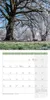 Bäume Kalender 2027 - 30x30 - Art12 Produktbild-Vorschau 2