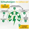 Green Guardia Schlupfwespen gegen Pflaumenwickler -3x Produktbild-Vorschau 2