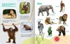 Mein großes Buch der Tiergeräusche Produktbild-Vorschau 11