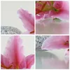 Bilder auf glas - Einteilig - Lilienblüte grün Pflanze - Produktbild-Vorschau 8