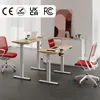 Two adjustable standing desks with laptops and chairs in a modern office setting. Voir les images du produit