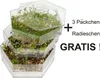 A stack of clear hexagonal trays filled with sprouts, with text indicating a free offer. Produktbild-Vorschau