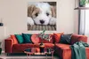 MuchoWow® Poster Nahaufnahme eines Cavachon-Welpen 100x100 Produktbild-Vorschau 2
