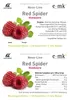 Slush-Sirup Eis Red Spider (Himbeere) | Konzentrat 5 L |  Produktbild-Vorschau 4