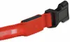 ChiliTec Hunde Halsband mit LED Beleuchtung Produktbild-Vorschau 8