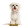DOGBOSS 100% Natur Kauknochen mit Pansen, 5er Set - 10 cm, Produktbild-Vorschau 6