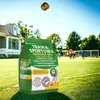 ECODECO Trávne semeno pre šport a hry – rýchlo klíčivé Náhľad obrázku produktu 21