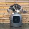 Katzenklo Flower XXL, verborgenes Katzenklo (Anthrazit) Produktbild-Vorschau 10