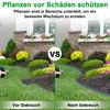 A split image showing a garden bed before and after using a flexible lawn edge. Produktbild-Vorschau